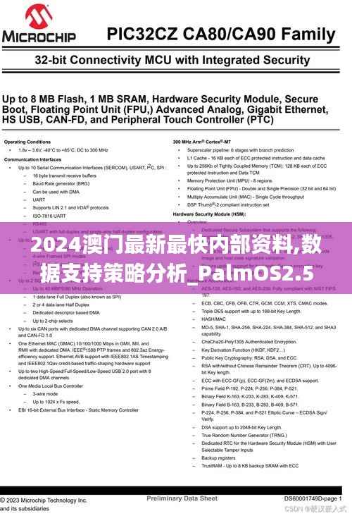 2024澳门最新最快内部资料,数据支持策略分析_PalmOS2.541
