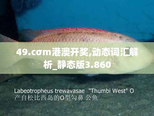 49.cσm港澳开奖,动态词汇解析_静态版3.860