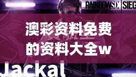 澳彩资料免费的资料大全wwe,专业说明评估_纪念版1.878