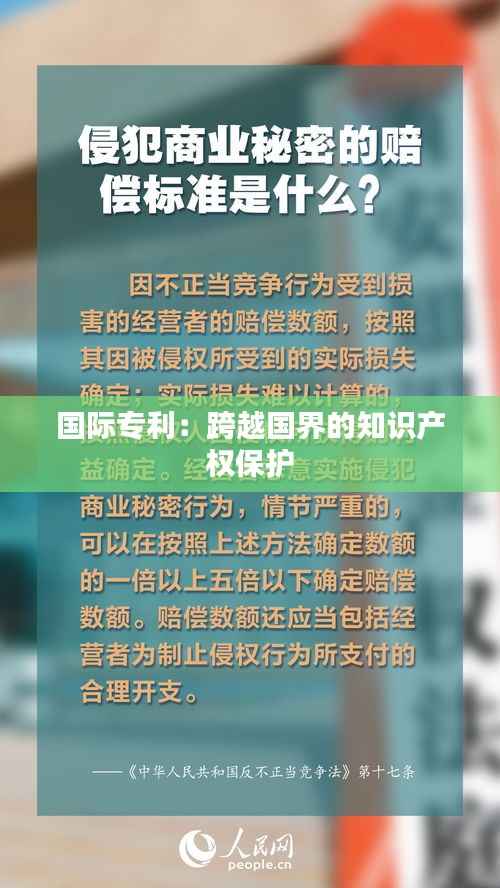 国际专利:跨越国界的知识产权保护