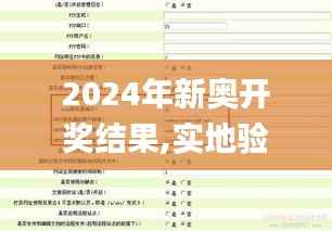 2024年新奥开奖结果,实地验证方案_Prestige1.107