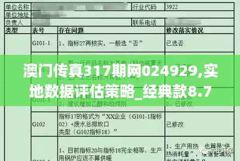 澳门传真317期网024929,实地数据评估策略_经典款8.776