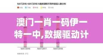 澳门一肖一码伊一特一中,数据驱动计划设计_专属版1.147