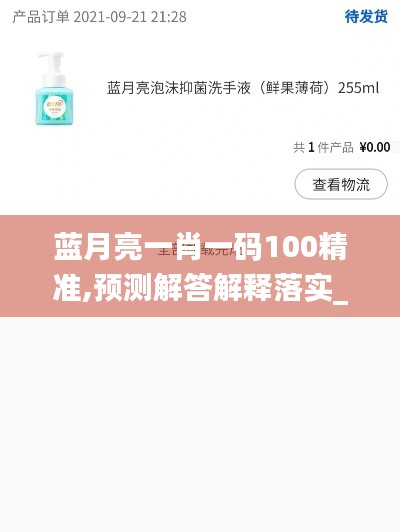 蓝月亮一肖一码100精准,预测解答解释落实_app3.408
