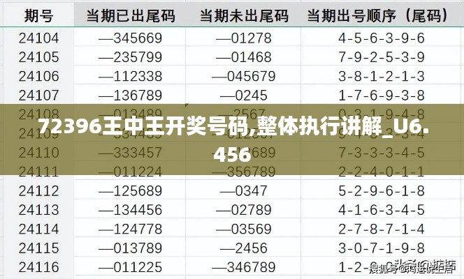 72396王中王开奖号码,整体执行讲解_U6.456