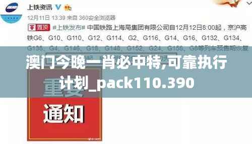 澳门今晚一肖必中特,可靠执行计划_pack110.390