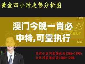 澳门今晚一肖必中特,可靠执行计划_pack110.390