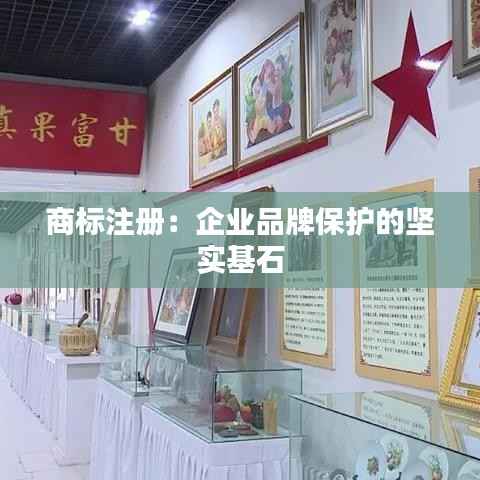 知识产权布局设计中心 第335页