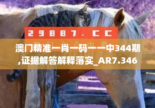澳门精准一肖一码一一中344期,证据解答解释落实_AR7.346