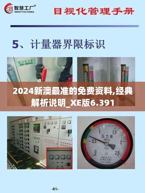 2024新澳最准的免费资料,经典解析说明_XE版6.391