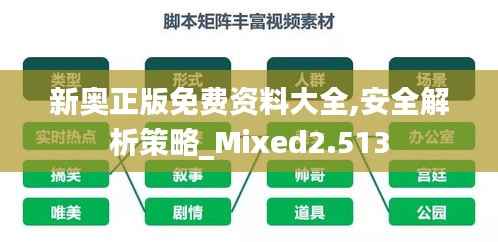 新奥正版免费资料大全,安全解析策略_Mixed2.513