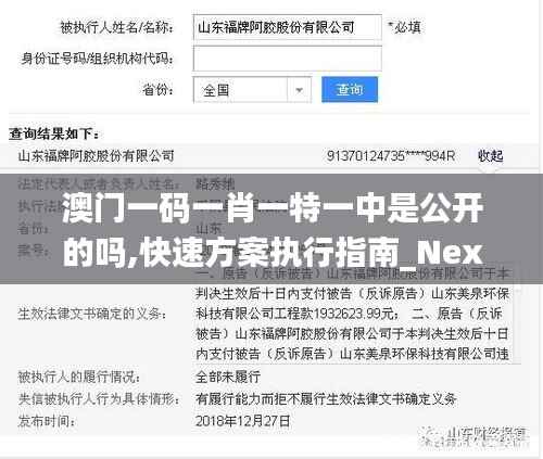 澳门一码一肖一特一中是公开的吗,快速方案执行指南_Nexus1.816