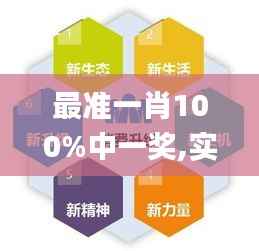 最准一肖100%中一奖,实践经验解释定义_BT15.950