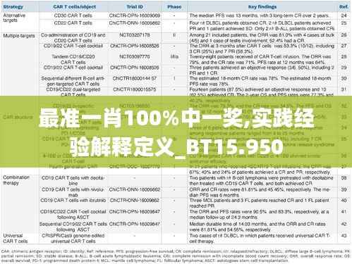 最准一肖100%中一奖,实践经验解释定义_BT15.950