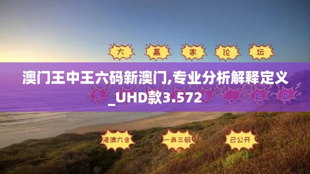 澳门王中王六码新澳门,专业分析解释定义_UHD款3.572