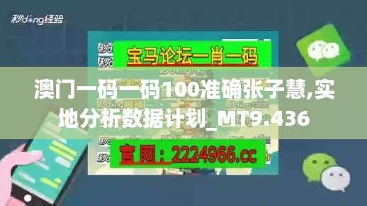 澳门一码一码100准确张子慧,实地分析数据计划_MT9.436