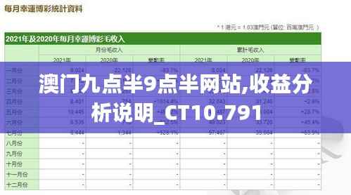 澳门九点半9点半网站,收益分析说明_CT10.791