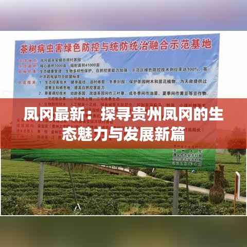 凤冈最新:探寻贵州凤冈的生态魅力与发展新篇