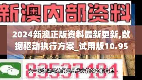 2024新澳正版资料最新更新,数据驱动执行方案_试用版10.951