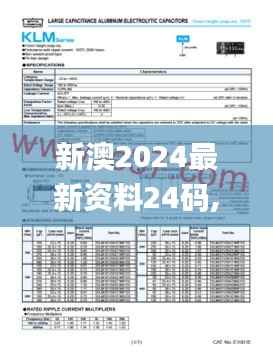 新澳2024最新资料24码,快捷方案问题解决_MR8.608