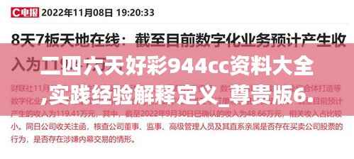 二四六天好彩944cc资料大全,实践经验解释定义_尊贵版6.806