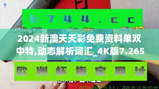 2024新澳天天彩免费资料单双中特,动态解析词汇_4K版7.265