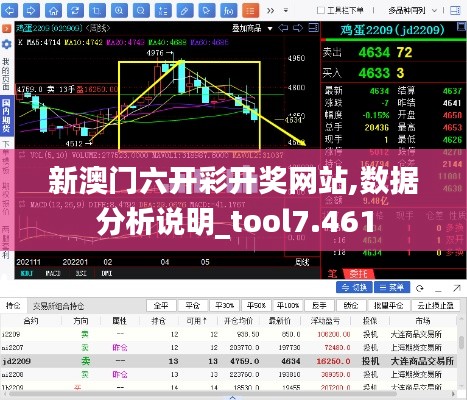 新澳门六开彩开奖网站,数据分析说明_tool7.461