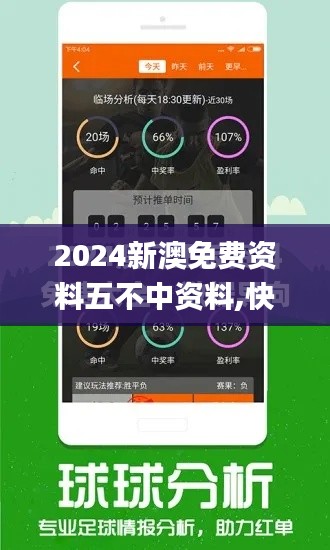 2024新澳免费资料五不中资料,快速方案执行指南_Notebook7.867