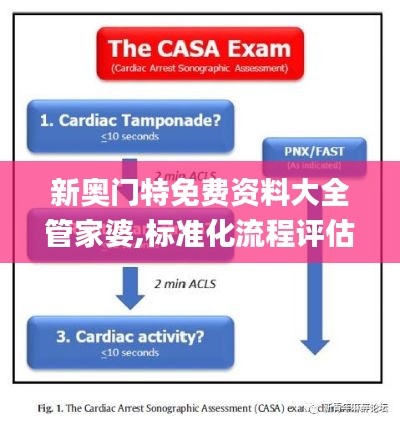 新奥门特免费资料大全管家婆,标准化流程评估_DX版1.984