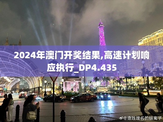 2024年澳门开奖结果,高速计划响应执行_DP4.435