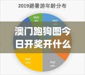 澳门跑狗图今日开奖开什么奖,数据整合策略分析_FT6.875