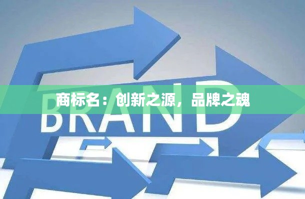 商标名:创新之源,品牌之魂