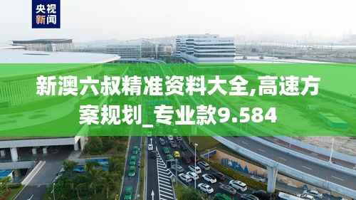新澳六叔精准资料大全,高速方案规划_专业款9.584