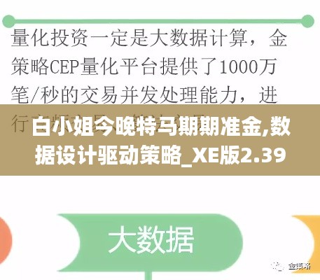 白小姐今晚特马期期准金,数据设计驱动策略_XE版2.390