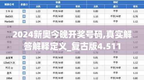 2024新奥今晚开奖号码,真实解答解释定义_复古版4.511