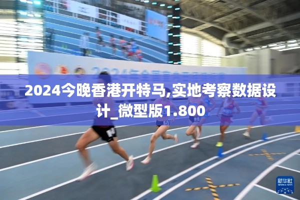2024今晚香港开特马,实地考察数据设计_微型版1.800