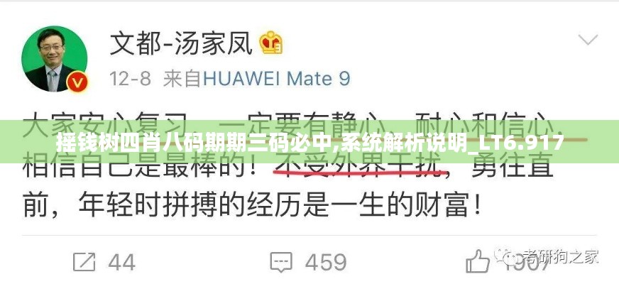 摇钱树四肖八码期期三码必中,系统解析说明_LT6.917
