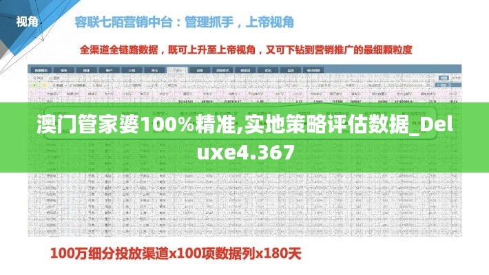 澳门管家婆100%精准,实地策略评估数据_Deluxe4.367