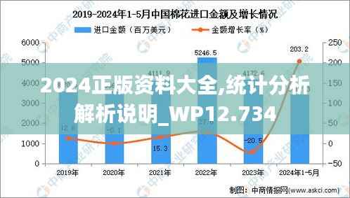 2024正版资料大全,统计分析解析说明_WP12.734