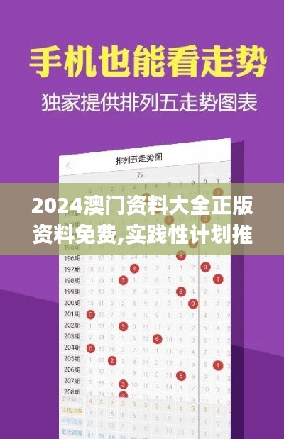 2024澳门资料大全正版资料免费,实践性计划推进_5DM6.607