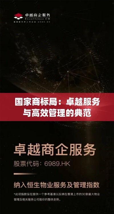 国家商标局:卓越服务与高效管理的典范