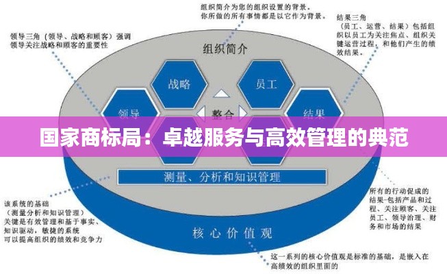 国家商标局:卓越服务与高效管理的典范