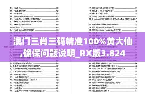 澳门三肖三码精准100%黄大仙,确保问题说明_RX版3.824