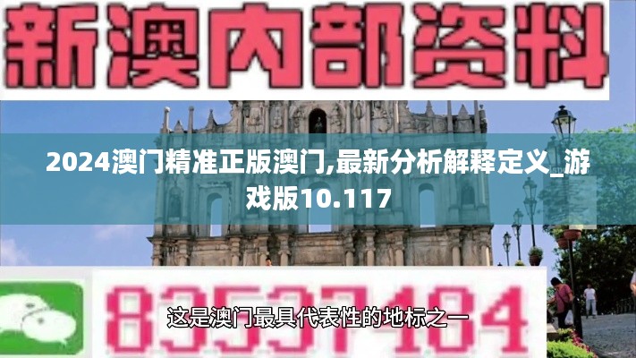 2024澳门精准正版澳门,最新分析解释定义_游戏版10.117