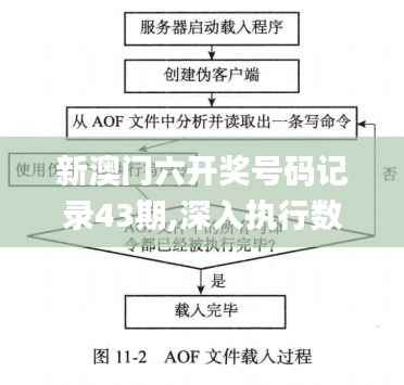 新澳门六开奖号码记录43期,深入执行数据方案_NE版5.597