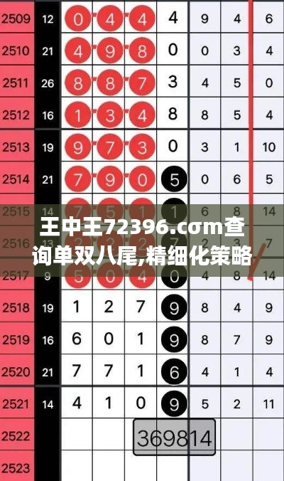 王中王72396.cσm查询单双八尾,精细化策略探讨_tool3.737