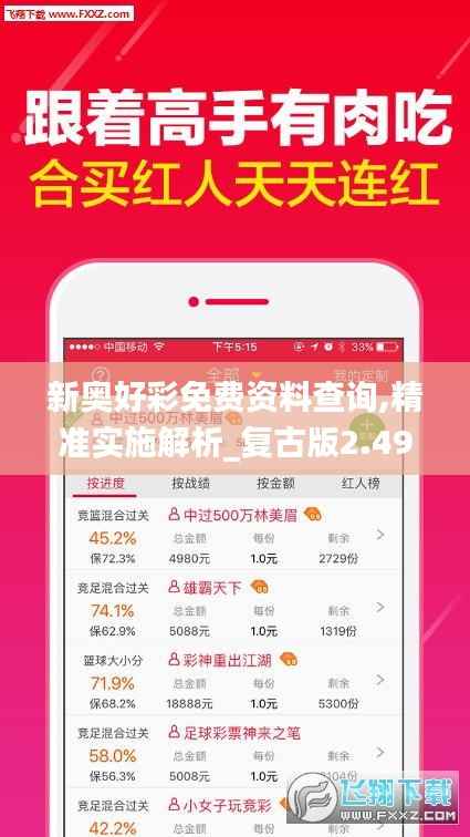新奥好彩免费资料查询,精准实施解析_复古版2.497