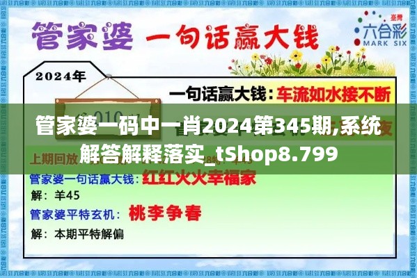 管家婆一码中一肖2024第345期,系统解答解释落实_tShop8.799