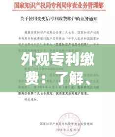 外观专利缴费:了解、策略与注意事项