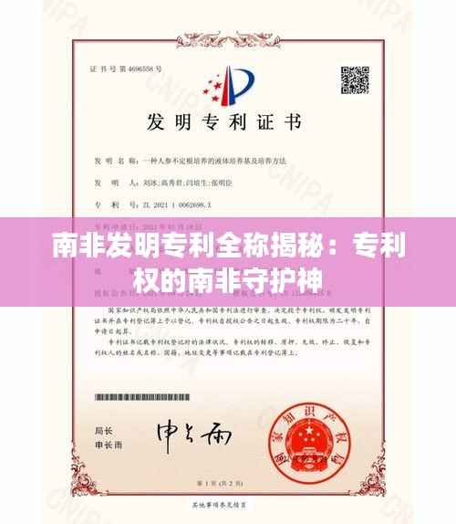 南非发明专利全称揭秘:专利权的南非守护神